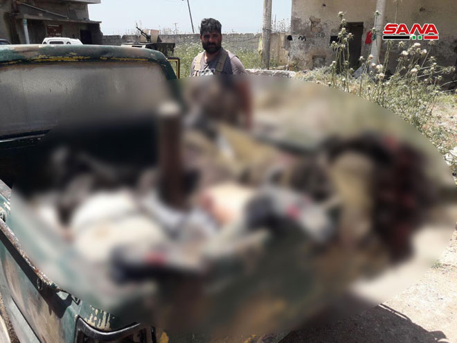 دام برس : عشرات القتلى من جنسيات أجنبية في صفوف الإرهابيين بريف حماة