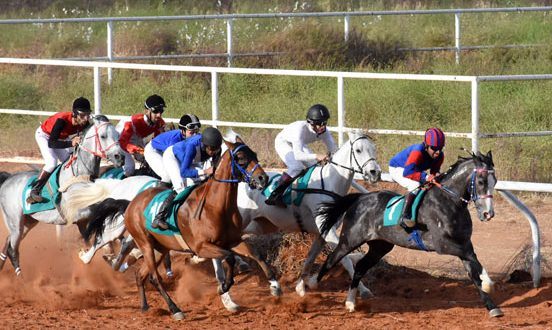 دام برس : دام برس | الجمعة سباق السرعة الثالث للخيول العربية الأصيلة
