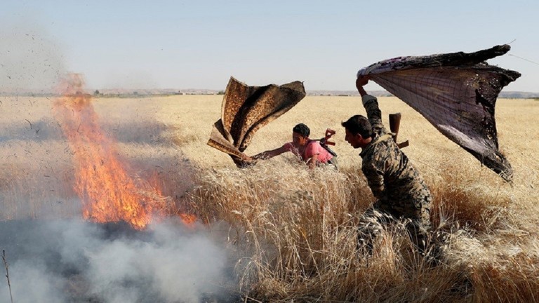 دام برس : دام برس | حرائق في الأراضي الزراعية جراء قذائف أطلقها إرهابيون على ريف حماة الشمالي