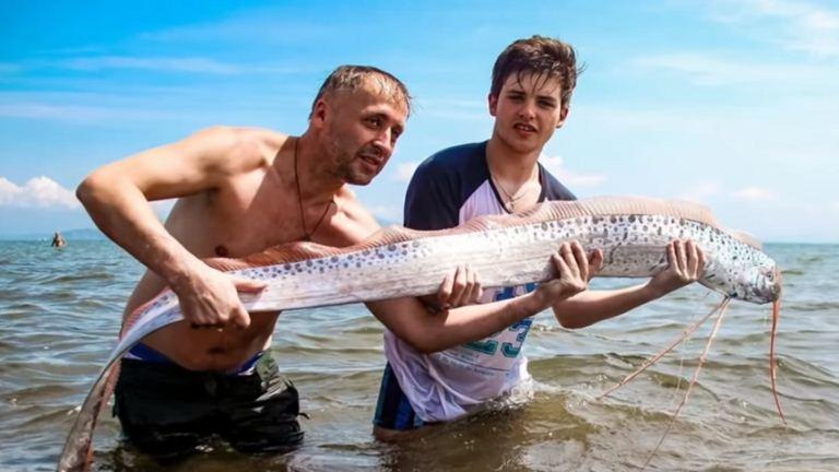 دام برس : ظهور سمكة تنبئ بقدوم الكوارث في روسيا