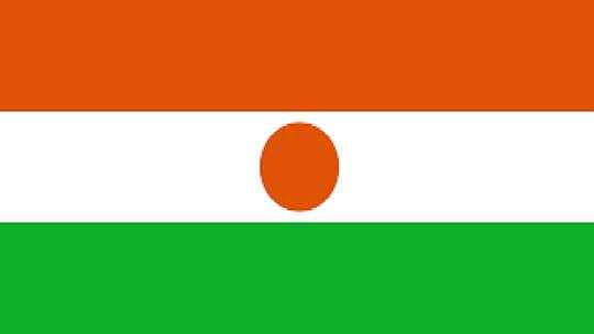 دام برس : دام برس | النيجر.. الحرس الرئاسي يحتجز رئيس البلاد في قصره