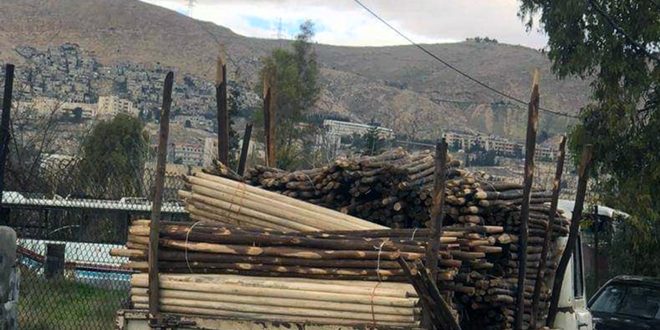 دام برس : دام برس | مصادرة نحو 15 طناً من الأخشاب المخالفة في منطقة بساتين أبو جرش