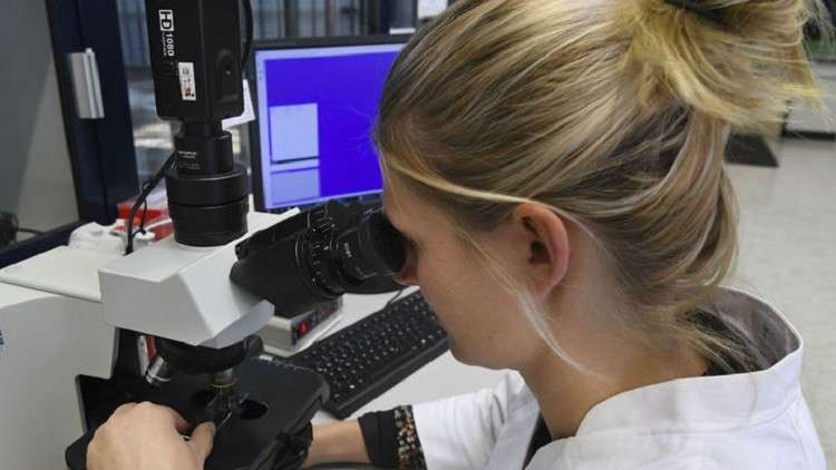 دام برس : دام برس | علماء روس يبتكرون دواء يقتل الخلايا السرطانية انتقائياً
