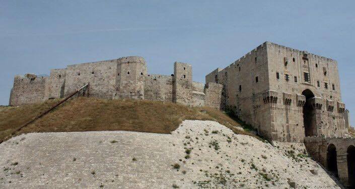 دام برس : بعد أكثر من خمس سنوات عودة أول الرحلات السياحية الى قلعة حلب