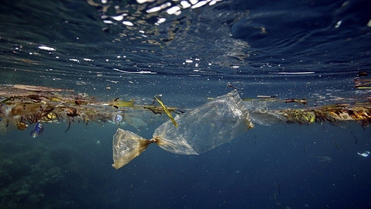 دام برس : 300 مليار قطعة بلاستيكية تسبح في المحيط المتجمد الشمالي