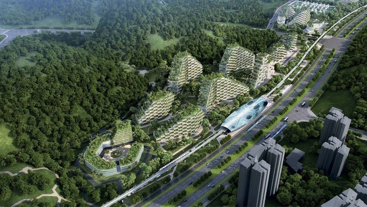 دام برس : دام برس | المدينة الغابة خطة الصين لمكافحة التلوث