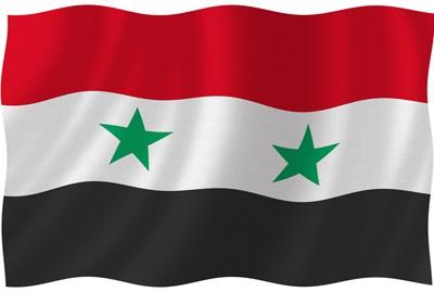 دام برس : دام برس | سورية لن تقبل ببرادعي جديد والسيادة خط أحمر .. بقلم : مي حميدوش