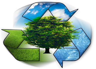 دام برس : أدوات الإدارة البيئية في دورة تدريبية