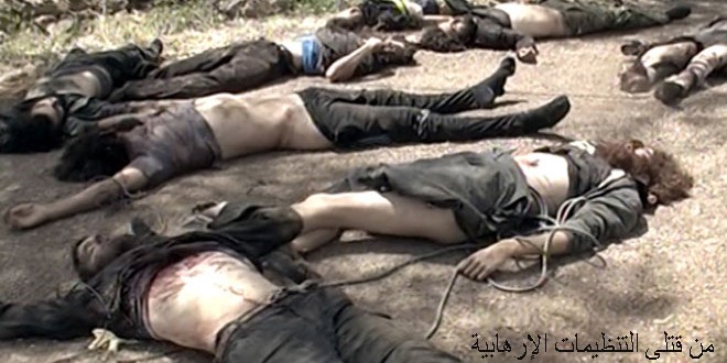 دام برس : دام برس | الجيش يسيطر على المارونيات .. واستشهاد شخص في نبل .. ومقتل 5 إرهابيين  في داريا
