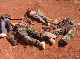دام برس : دام برس | عشرات المسلحين قتلى بنيران الجيش السوري