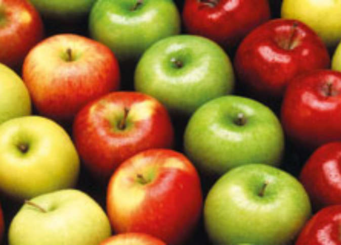 دام برس : دام برس | 50 طن تفاح .. وخيار الشوكي والفليفلة بلوك والبندورة البلحية إلى روسيا