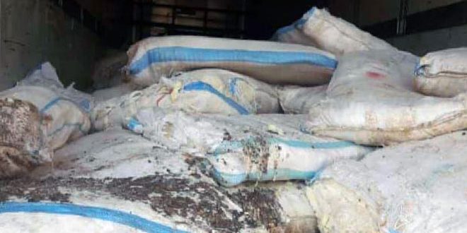 دام برس : دام برس | ضبط 23 طناً من الأجبان والقريشة الفاسدة في إحدى القرى بريف حمص