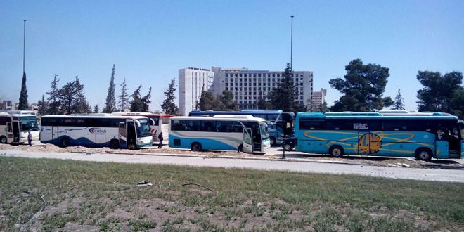 دام برس : دام برس | تجهيز 18 حافلة تقل 238 مسلحاً وعائلاتهم لنقلهم إلى إدلب