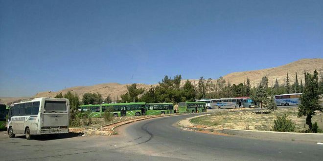 دام برس : دام برس | وصول الحافلات إخراج الدفعة الرابعة من إرهابيي جيش الإسلام وعائلاتهم من دوما