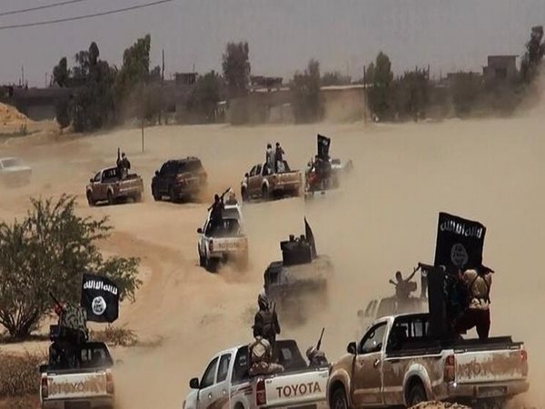 دام برس : دام برس | مسلحو داعش في سوري يتدفقون إلى سيناء عبر الأردن