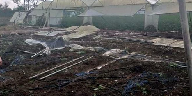 دام برس : دام برس | طرطوس… تضرر عدد من البيوت البلاستيكية في بانياس جراء التنين البحري