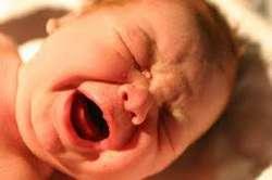 دام برس : أمريكي يقضم أنف ابنه الرضيع بسبب بكائه