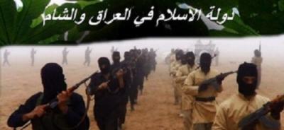 دام برس : دام برس | داعش في لبنان رسمياً