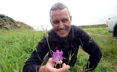 دام برس : العثور على الزهرة القاتلة في بريطانيا