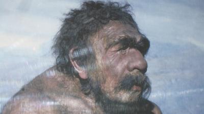 دام برس : دام برس | العلماء يحددون بدقة فترة انقراض الإنسان - النياندرتال