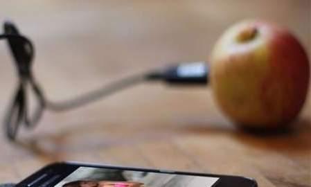 دام برس : دام برس | بالفيديو: اشحن هاتفك بالتفاح والبطاطا