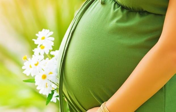 دام برس : نصائح وإرشادات للحامل