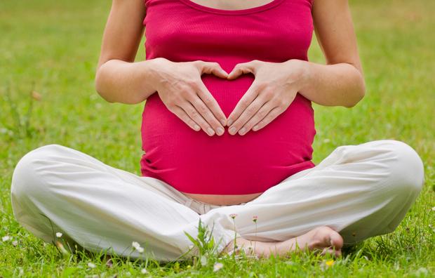دام برس : دام برس | مستوى فيتامين د أثناء الحمل مرتبط بالقوة العضلية للطفل