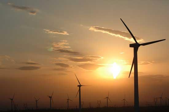 دام برس : دام برس | حرب استراليا ضد مزارع الرياح تهدد أضخم مشروع للطاقة المتجددة