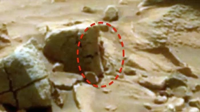 دام برس : دام برس | التقاط صورة لمخلوق فضائي بين صخور المريخ!