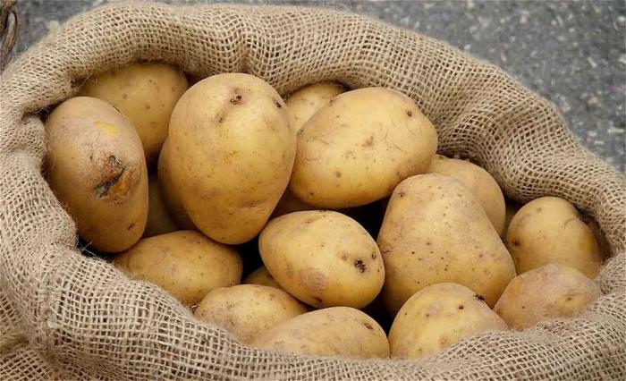 دام برس : دام برس | 600 طن من البطاطا مستجرّة إلى الخزن والتسويق في حمص