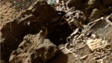 دام برس : دام برس | صور لبقايا هيكل عظمي على كوكب المريخ