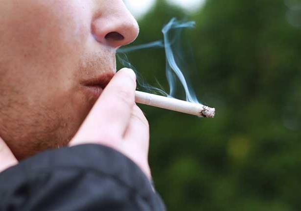 دام برس : التدخين يدمر الصحة.. ويحمي الركب والمفاصل والأعصاب