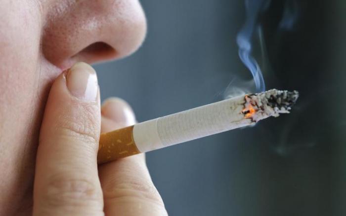دام برس : دام برس | خطر جديد غير متوقع للتدخين على صحة الإنسان