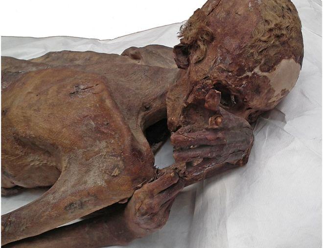 دام برس : دام برس | اكتشاف أقدم وشم في العالم على مومياء مصرية عمرها 5000 عام