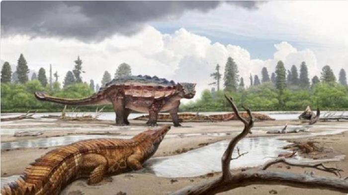 دام برس : دام برس | علماء يكتشفون بقايا أكثر الديناصورات صلابة