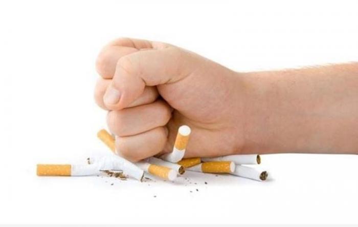 دام برس : دام برس | Smokitten أول لعبة فيديو حقيقية تساعد في الإقلاع عن التدخين