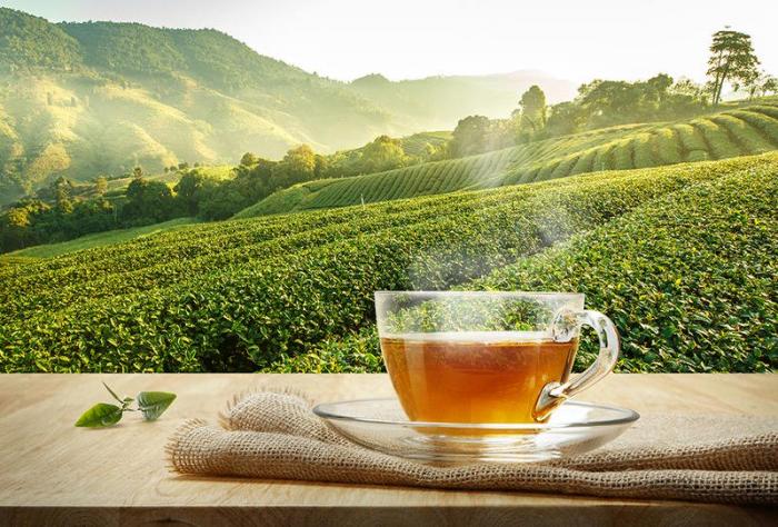 دام برس : 10 حقائق لا تعرفونها عن الشاي