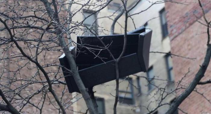 دام برس : دام برس | «أريكة فوق شجرة» تثير عاصفة من التساؤلات في نيويورك