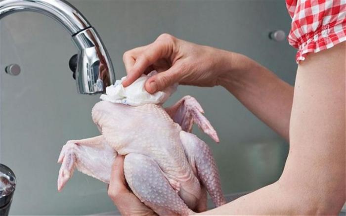 دام برس : دام برس | دراسة تحذر من غسل الدجاج قبل طهيه