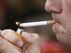 دام برس : دام برس | العلماء يحذرون من كارثة بيئية بسبب التدخين