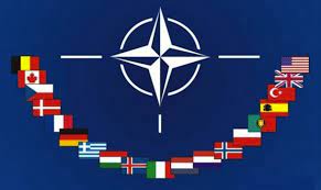 دام برس : دام برس | استخباراتي أمريكي: الناتو لن يدخل بمواجهة خاسرة مع روسيا وسيدفع كييف إلى المفاوضات