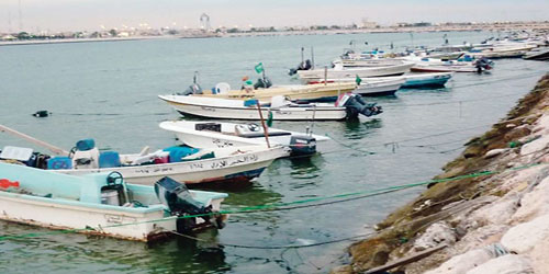 دام برس : نقص المحروقات والغلاء يوقف أغلب مراكب الصيد والنزهة في اللاذقية