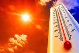 دام برس : قره فلاح: الصيف القادم شديد الحرارة.. و 80 بالمئة من الكائنات الحية مهددة بالزوال إذا استمر الوضع على حاله 50 سنة