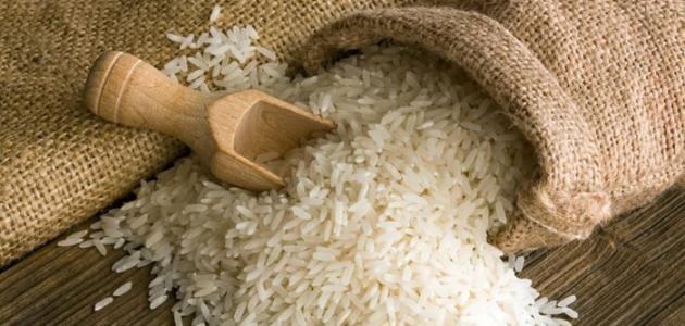 دام برس : دام برس | سنغافورة وإندونيسيا والفلبين تطالب الهند باستئناف صادراتها من الأرز