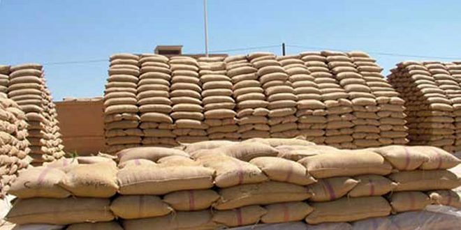 دام برس : دام برس |  العثور على 2500 طن من القمح المسروق في أحد أوكار داعش
