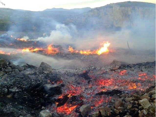 دام برس : دام برس | النيران تلتهم آلاف الدونمات من الأراضي الزراعية والحراجية في سهل الزبداني وجبالها
