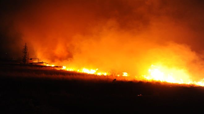 دام برس : تضرر مساحات من الأراضي المزروعة بالقمح والشعير جراء الحرائق في الحسكة ودرعا
