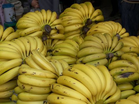 دام برس : دام برس | السماح باستيراد 30 ألف طن من الموز اللبناني بكمية 500 طن للمستورد الواحد