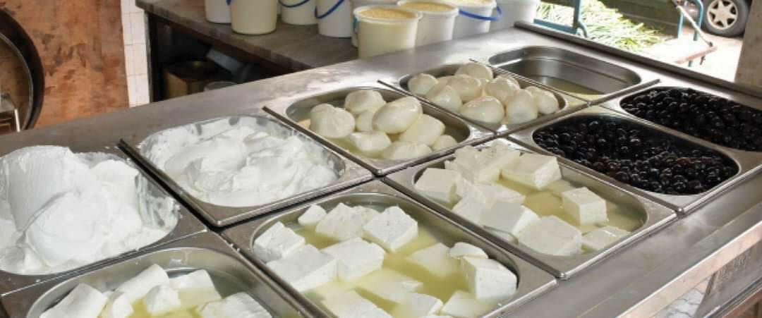 دام برس : دام برس | الإمارات في المرتبة الأولى باستيراد الأجبان السورية.. والجبن العكاوي مفقود من الأسواق