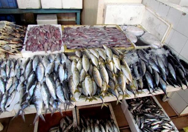 دام برس : السورية للتجارة تطرح السمك في ثلاث صالات بدمشق وبسعر أقل